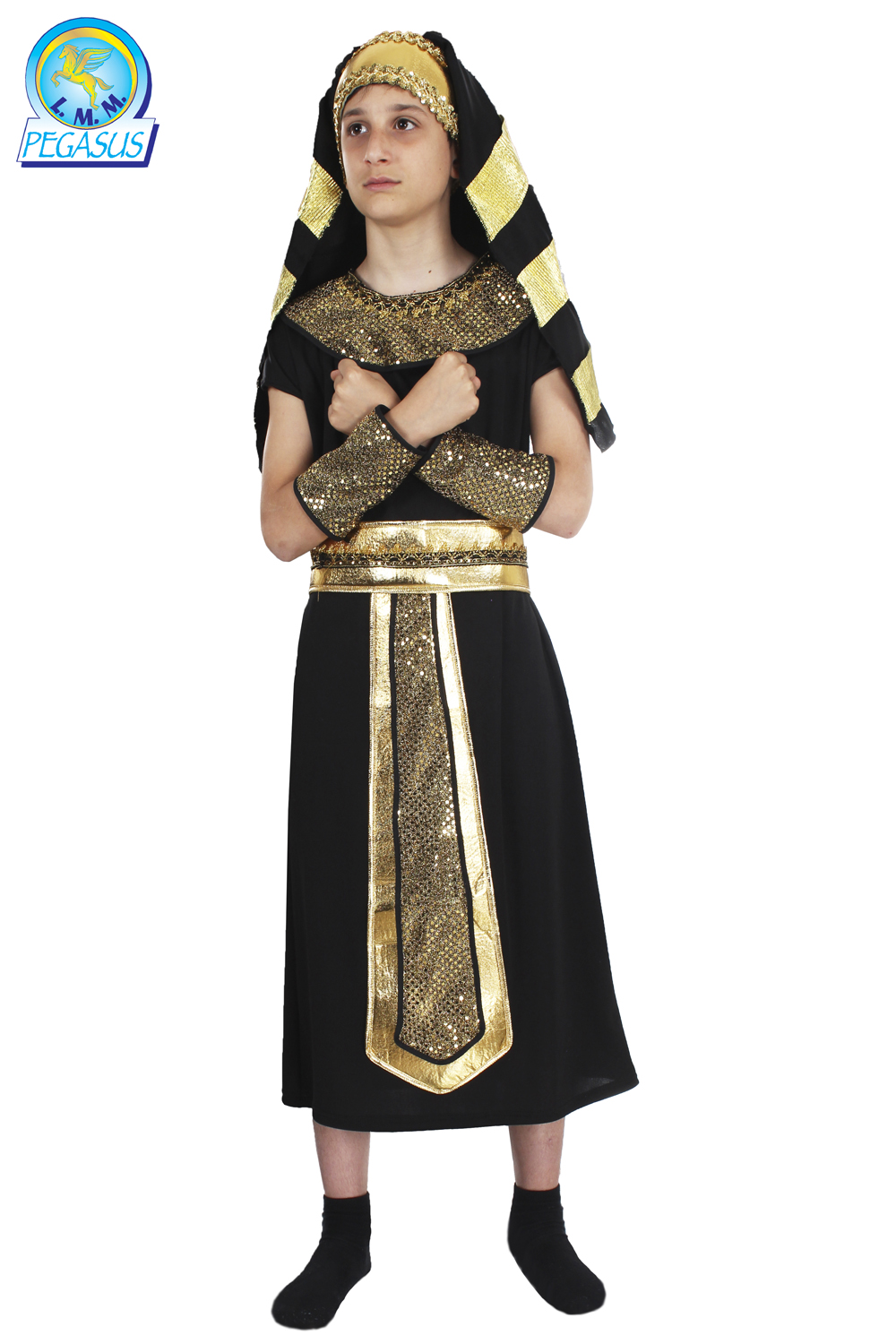 RAMSES